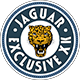 Jaguar Exclusive XK